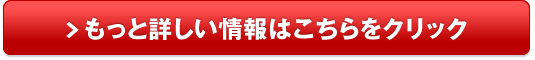 上質な日本製レザーブランド【SOLSOMARE】販売サイトへ